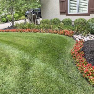 Residential Lawn Maintenance